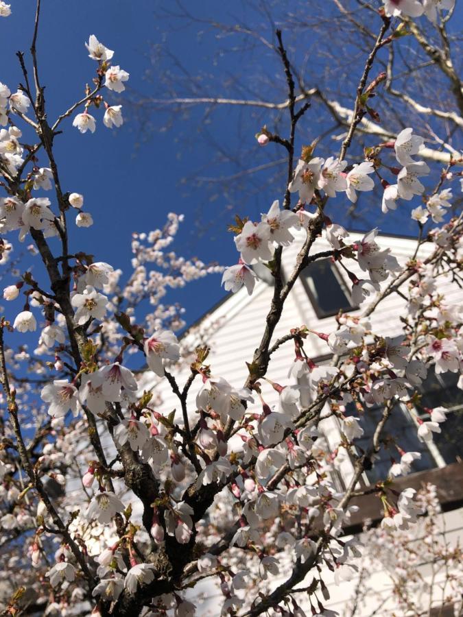 ホテル 菜食の宿 ジャムー 山中湖村 エクステリア 写真