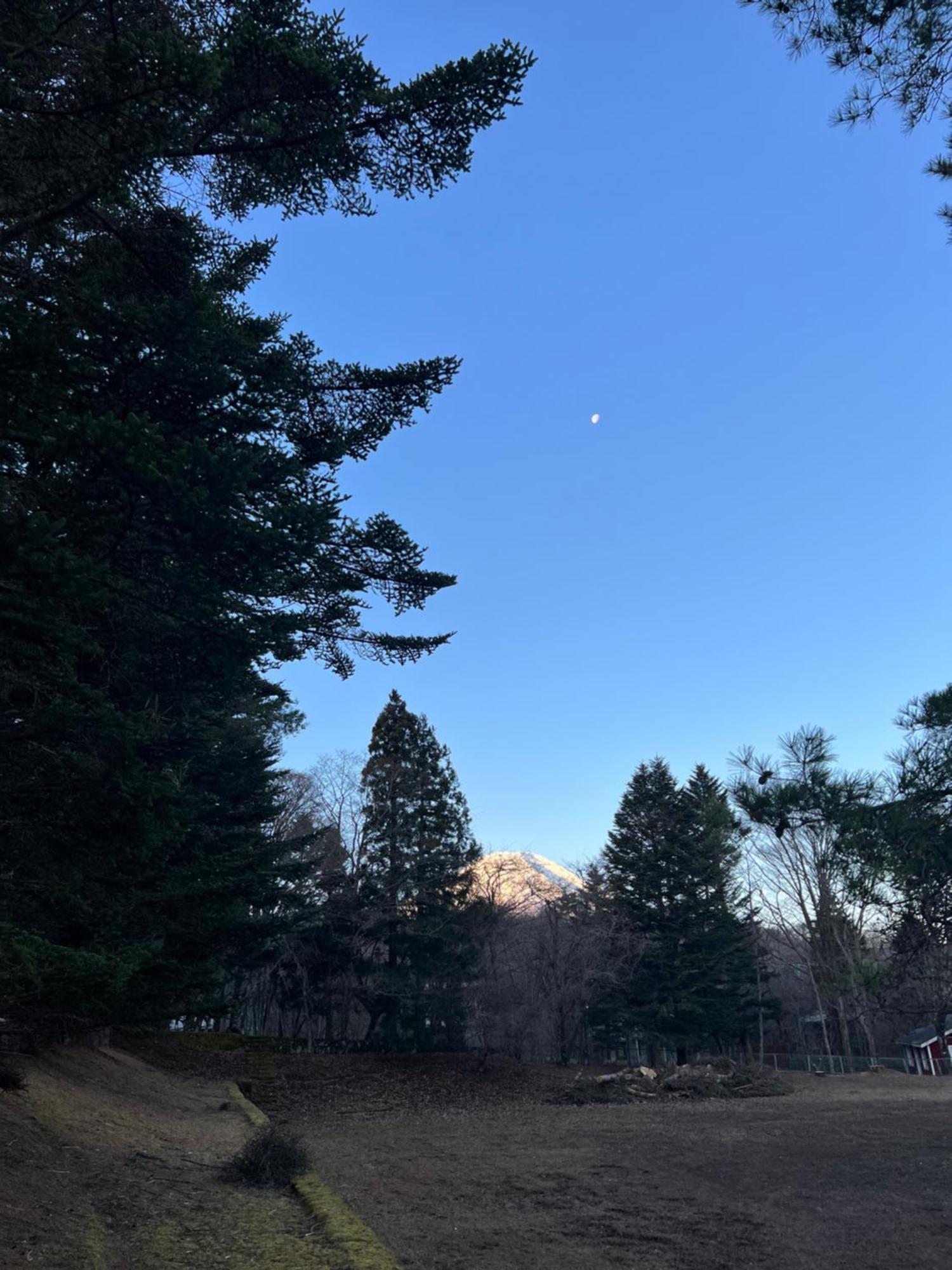 ホテル 菜食の宿 ジャムー 山中湖村 エクステリア 写真